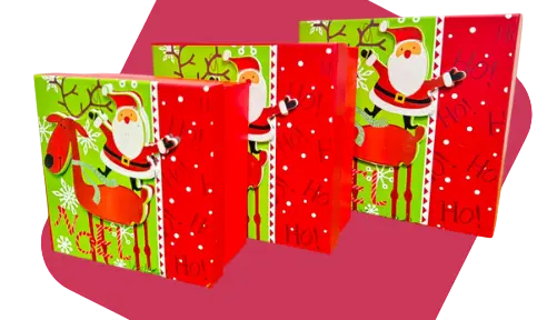 CAJAS SET 3/1