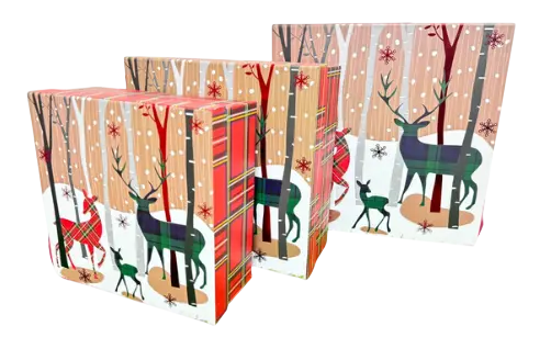 CAJAS SET 3/1