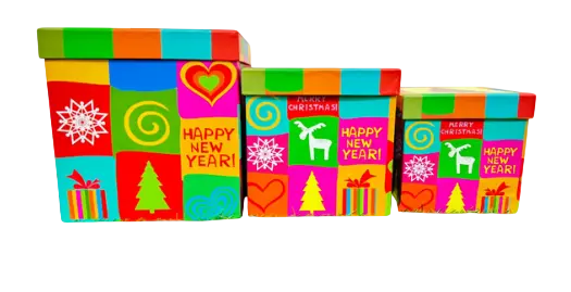 CAJAS SET 3/1